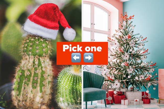 Cactus with a Santa hat and a pink Christmas tree.