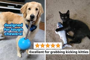 reviewer's puppy holding ball attached to rope and reviewer's cat playing with flopping fish
