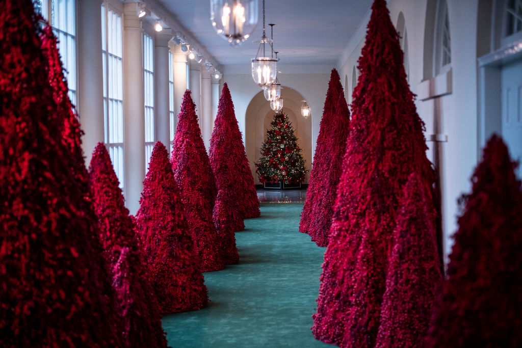 red trees in a hallway