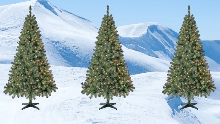 The Top Affordable Christmas Trees At Walmart   Sub Buzz 1828 1701209842 8 