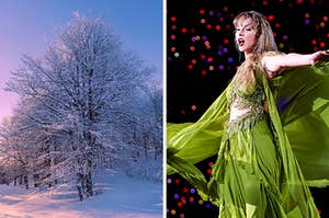 On the left, a snow covered tree at sunset, and on the right, Taylor Swift dancing on stage