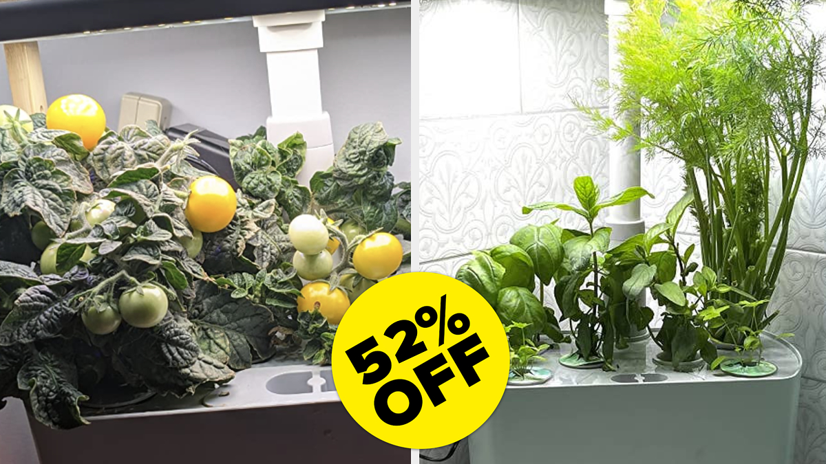 AeroGarden Harvest Is 52 Off On Amazon For Cyber Week