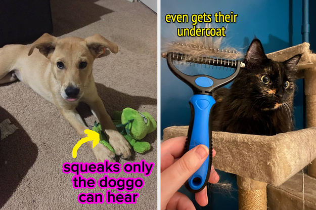 reviewer's puppy sitting with its paws on the green toy "squeaks only the doggo can hear" / a reviewer holding the brush with fur in it in front of their cat "even gets their undercoat"