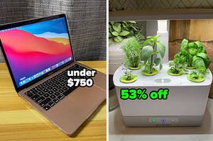 macbook pro, indoor garden appliance