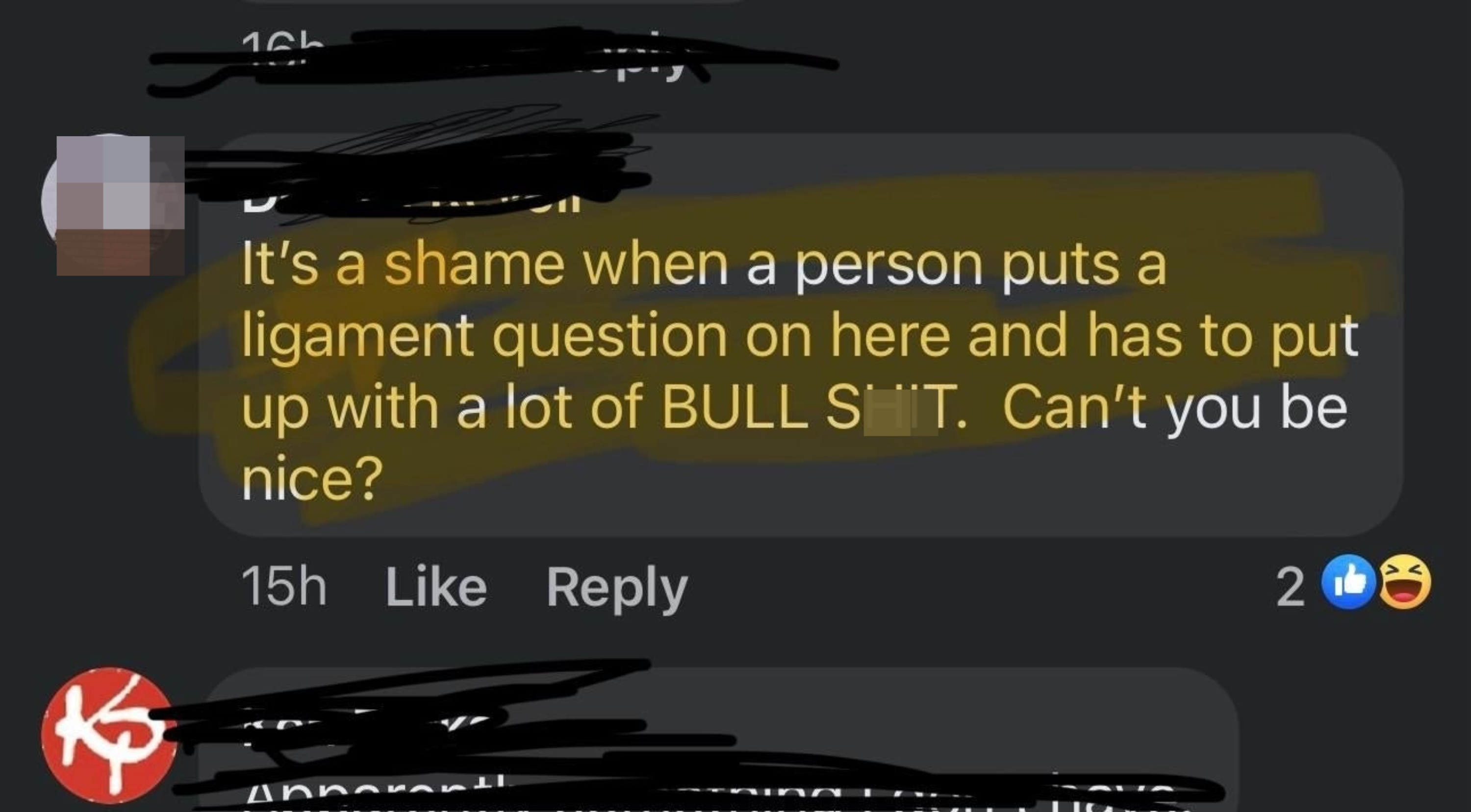 &quot;It&#x27;s a shame when a person puts a ligament question on here and has to put up with a lot of BULL SHIT; can&#x27;t you be nice?