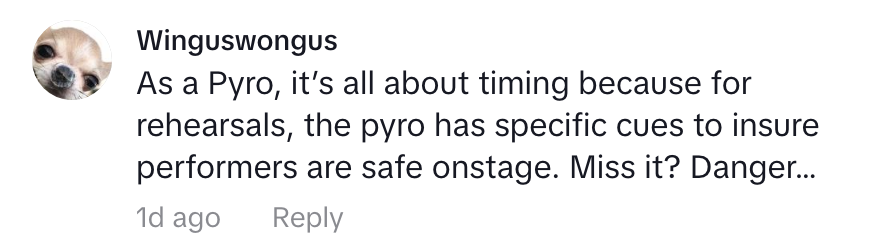 &quot;As a Pyro, it&#x27;s all about timing...&quot;