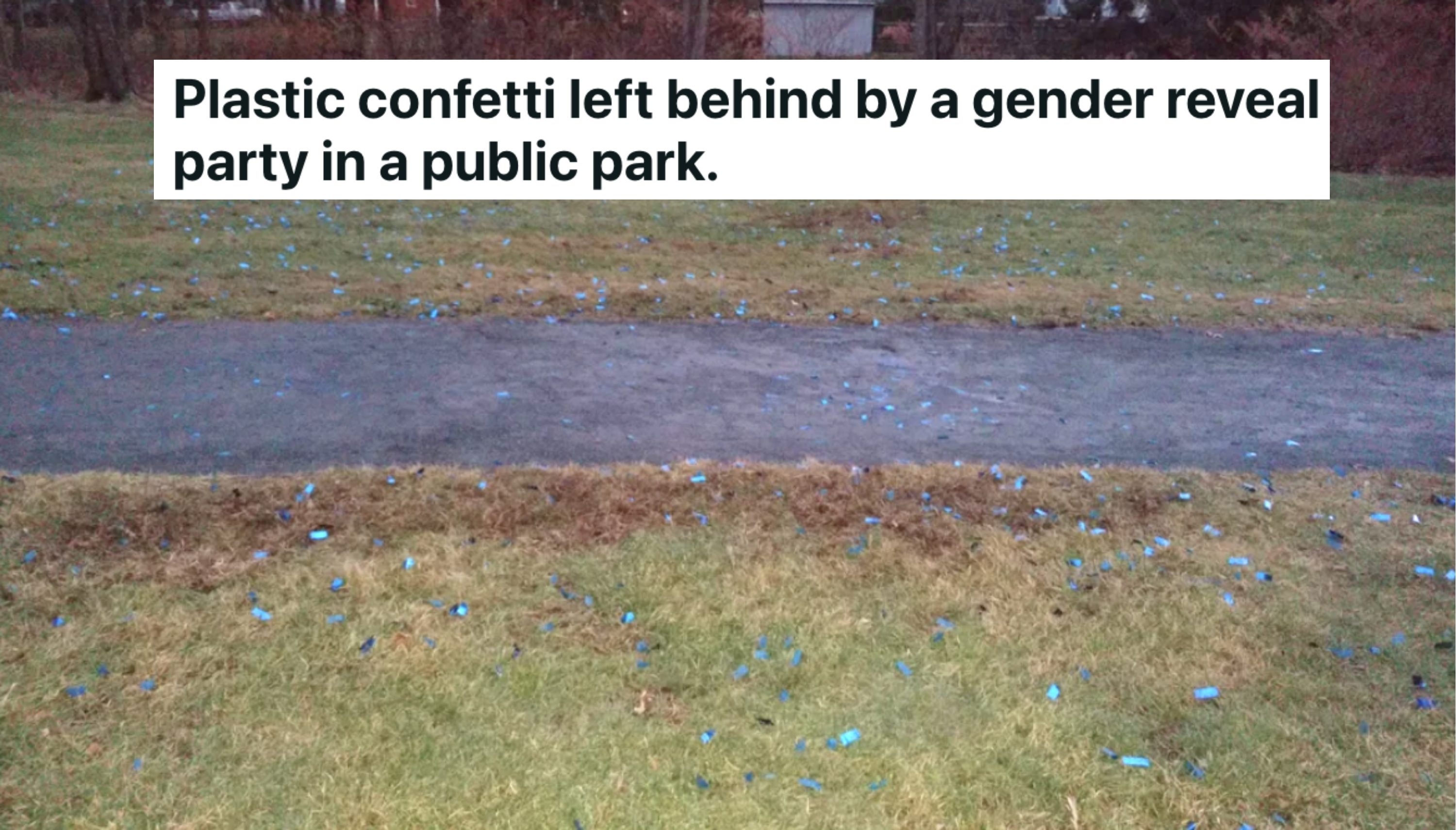 confetti in the grass