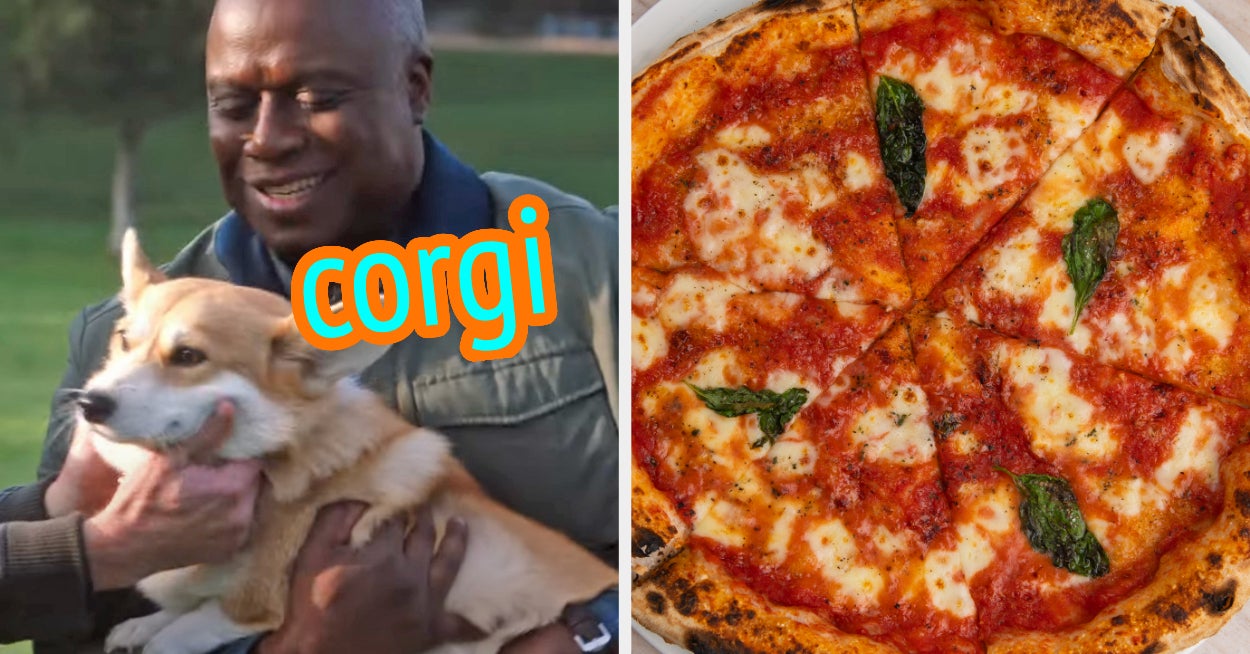 Food Quiz Eat International Food Get Dog Breed