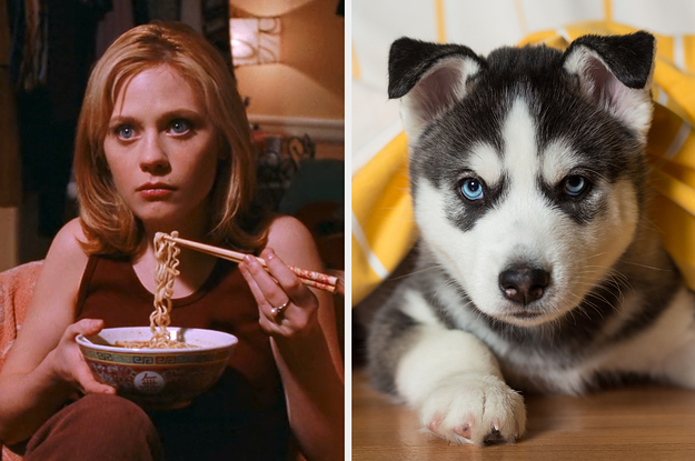 On the left, Jovie from Elf eating ramen with chopsticks, and on the right, a husky puppy