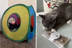 cat in a tunnel; cat with matabi chew sticks