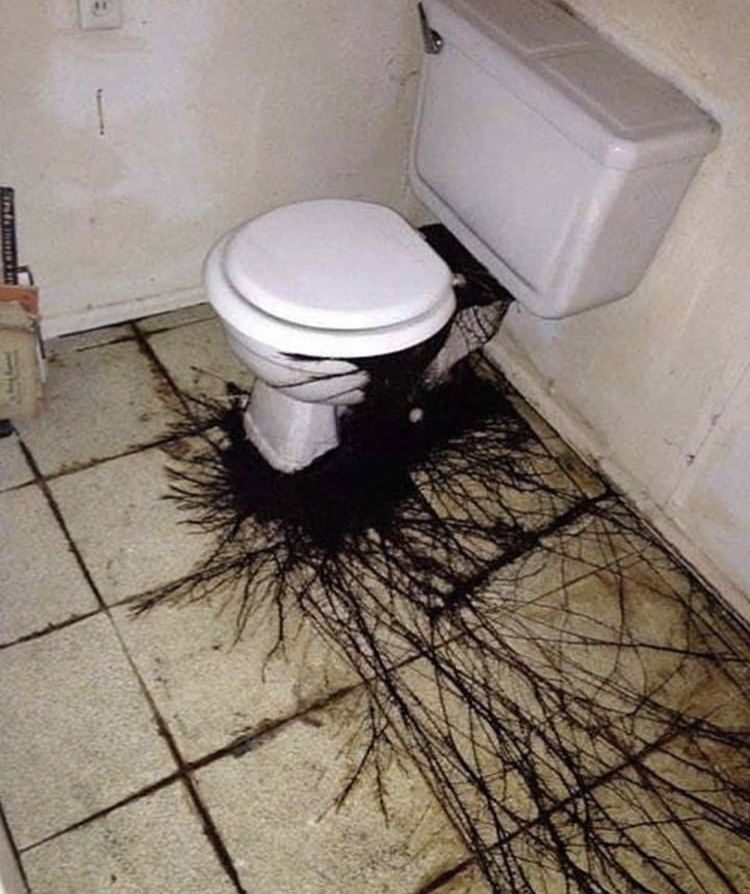Black stuff coming out of a toilet