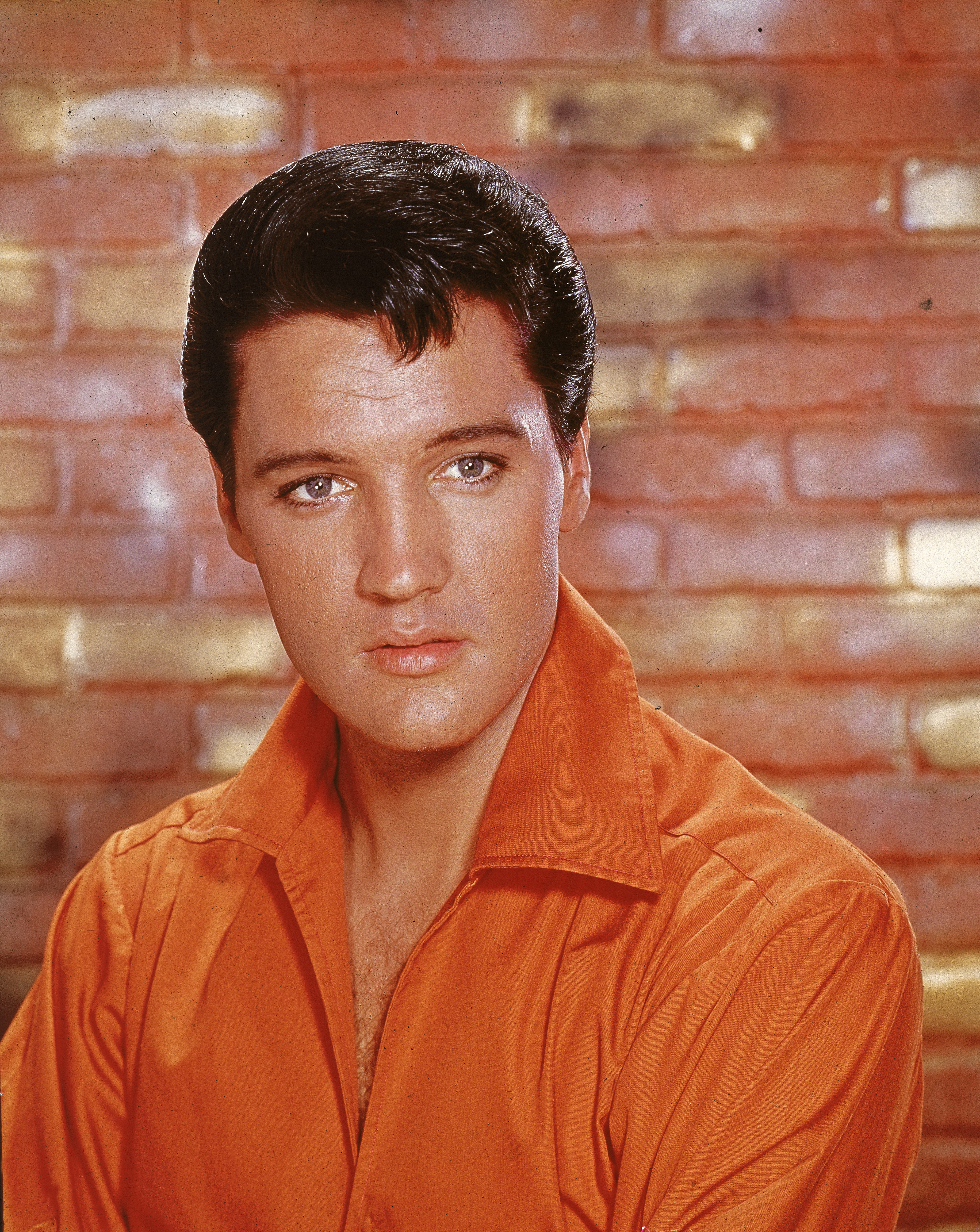 Close-up of the real Elvis