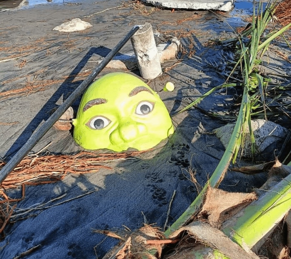 A Shrek face buried in sand