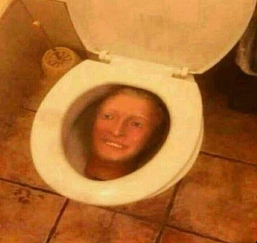 A mannequin head in a toilet