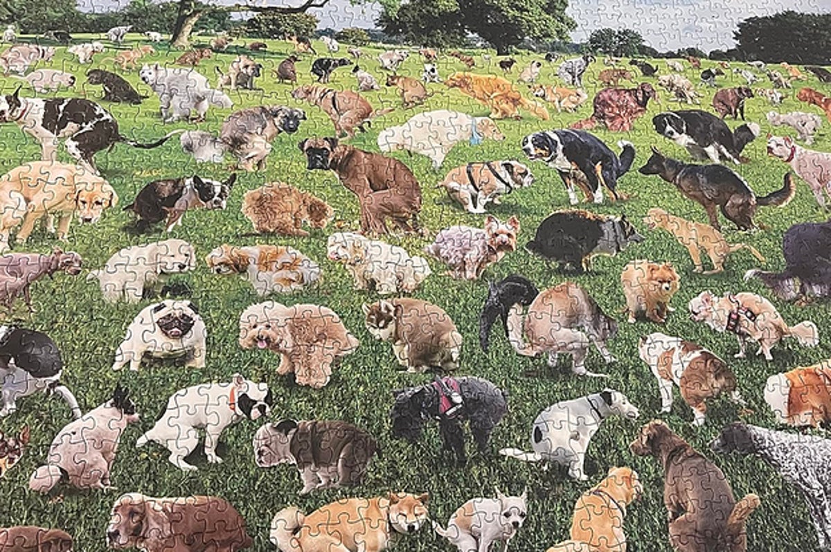 The Original 1000 Piece Puzzle, 101 Pooping Puppies, Dogs Pooping Puzzle,  Perfect White Elephant Gag Gift, Funny Puzzle for Adults