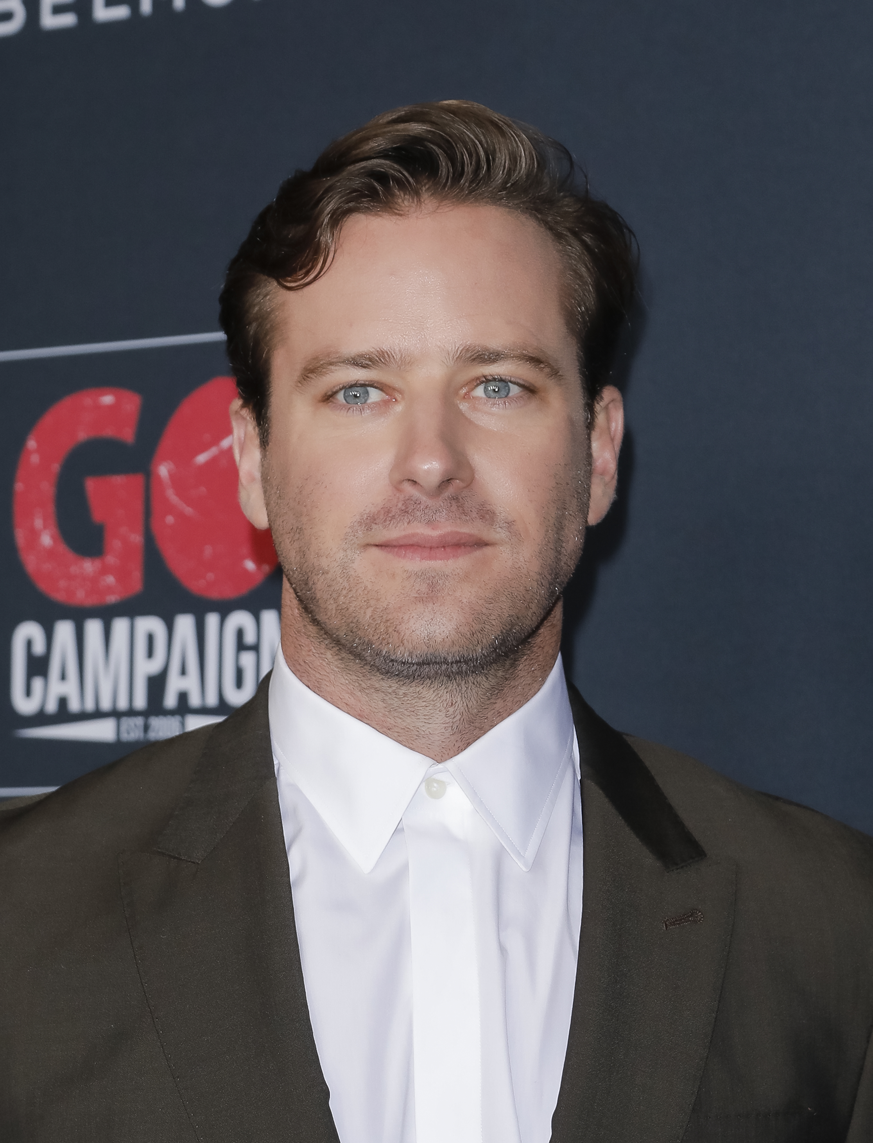Close-up of Armie in a suit and tie at a media event