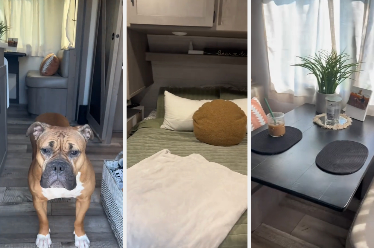 Ana&#x27;s dog, her bed, and breakfast nook in the camper