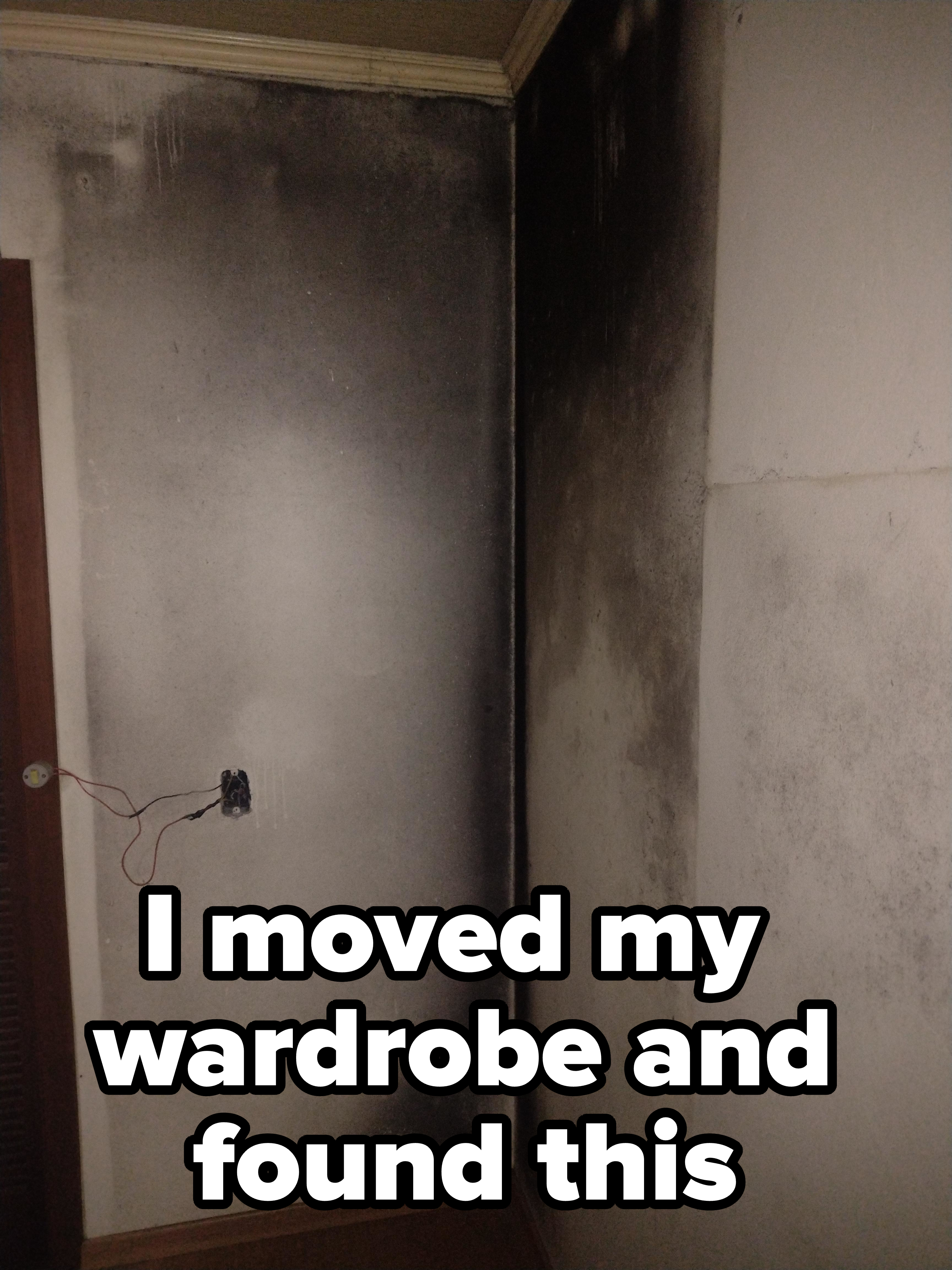"I moved my wardrobe and found this"
