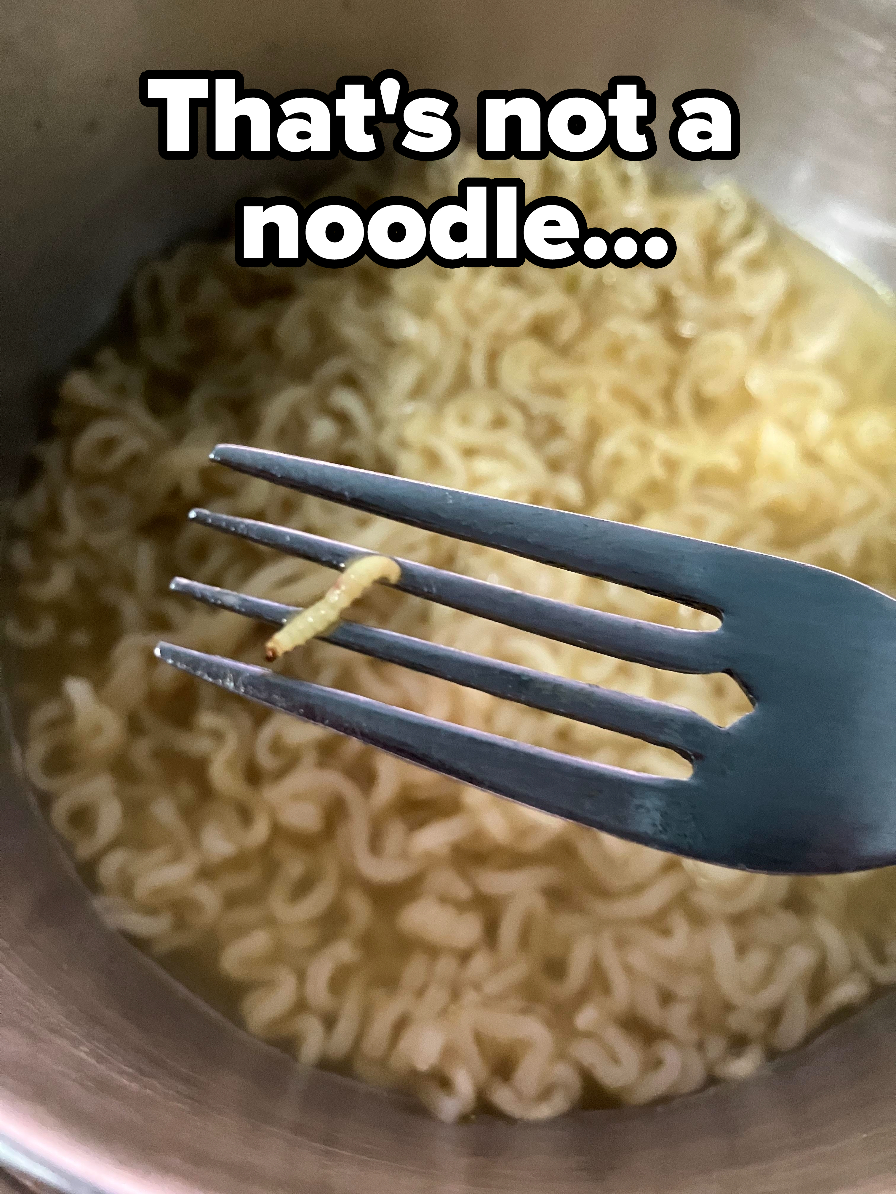 &quot;That&#x27;s not a noodle...&quot;