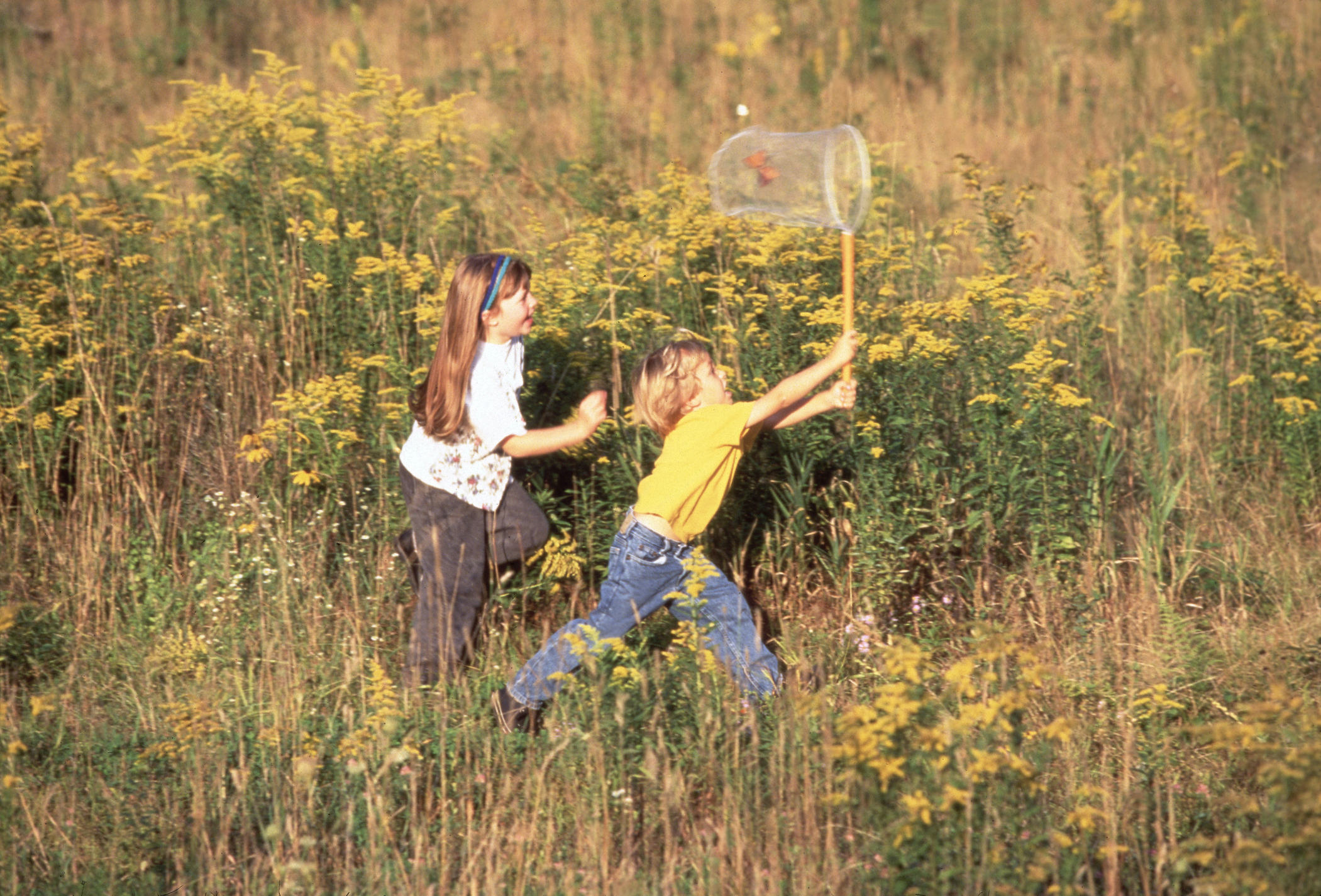 Two kids are catching butterflies in a field
