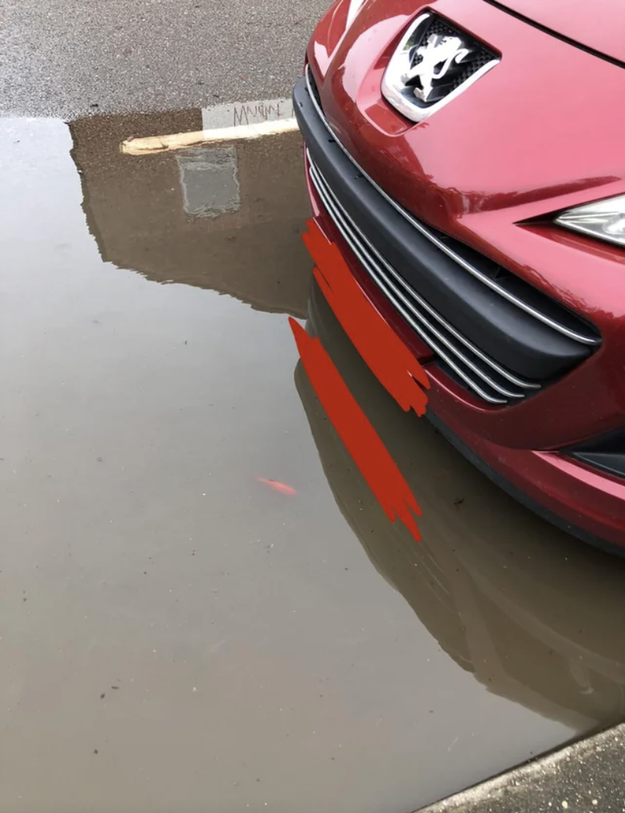 a car in a puddle