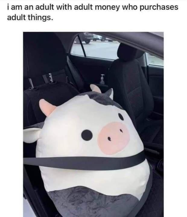 A Squishmallow strapped into a car