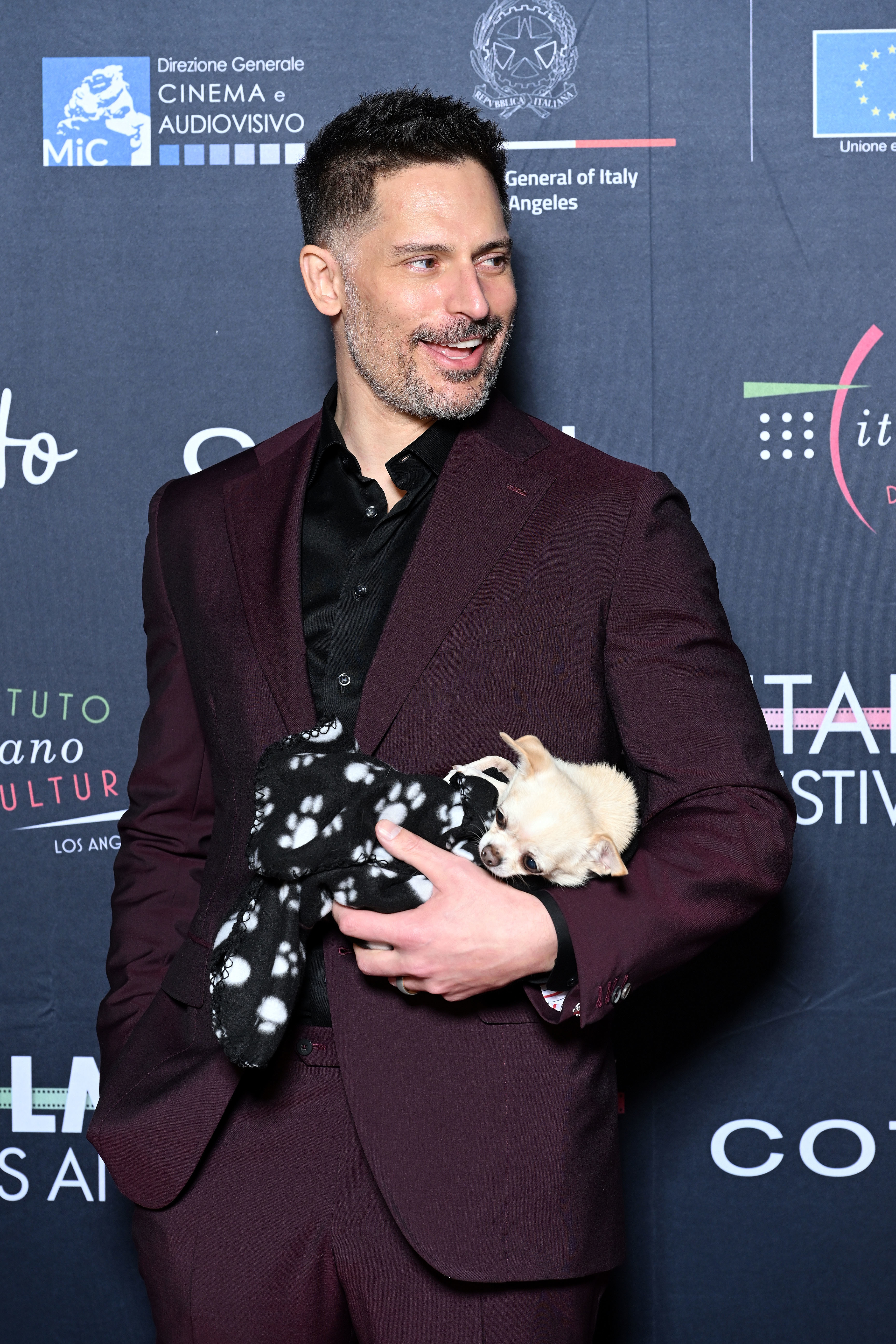 Joe in a burgundy suit on the red carpet while holding a small dog in one arm