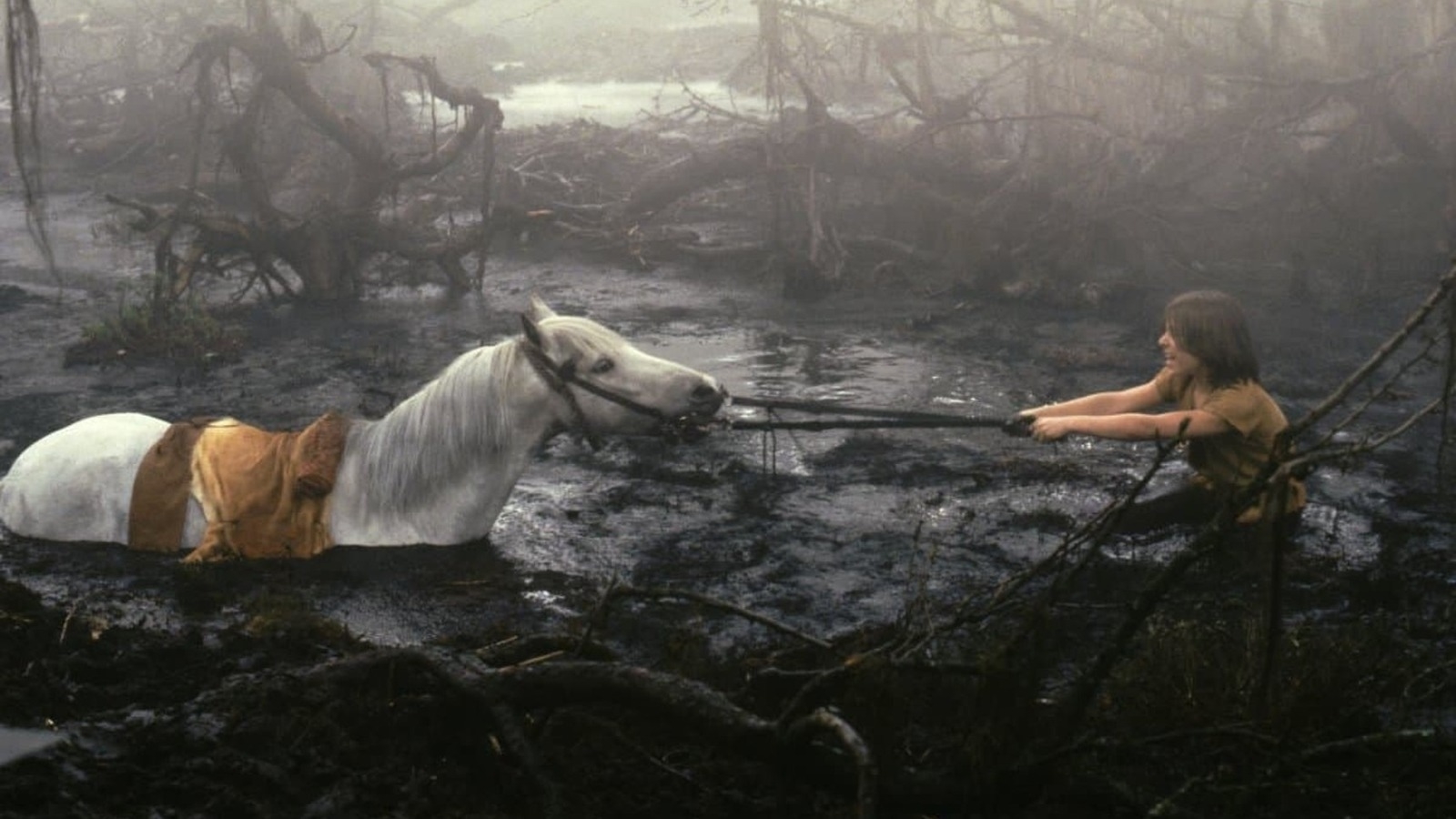 Screenshot from &quot;The NeverEnding Story&quot;
