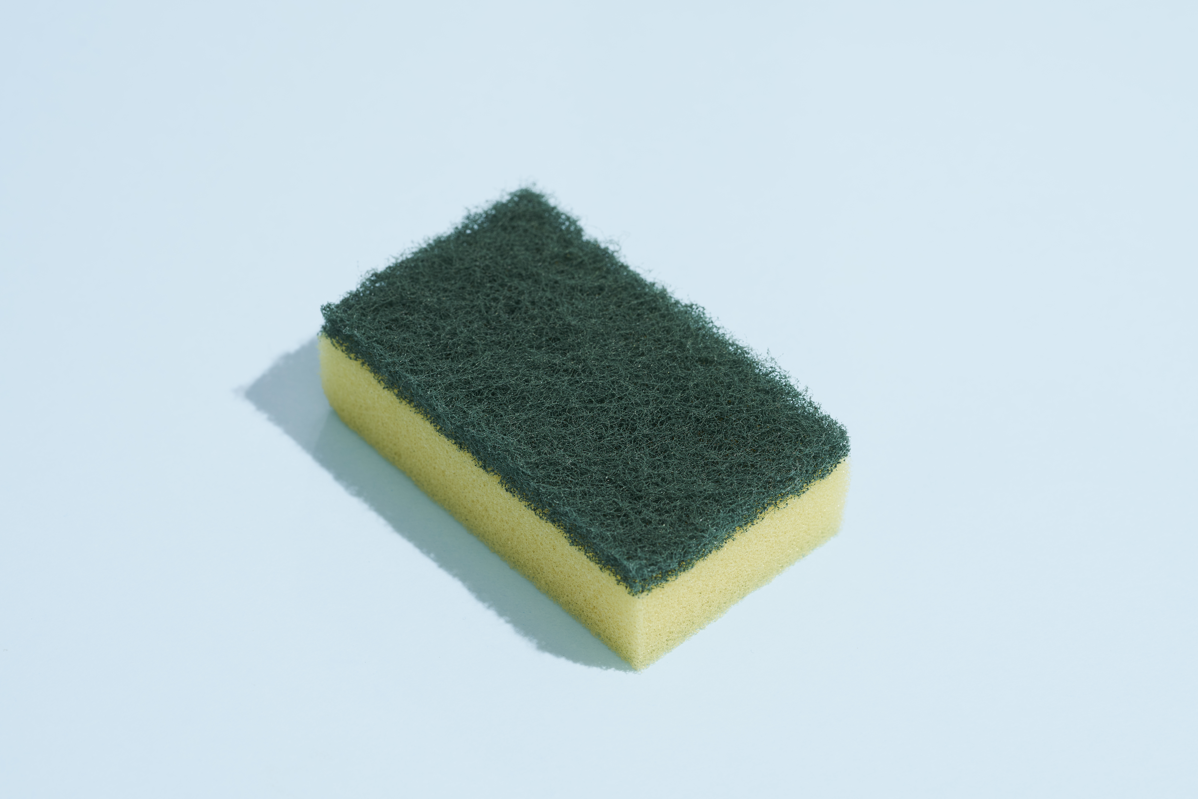 brand new sponge