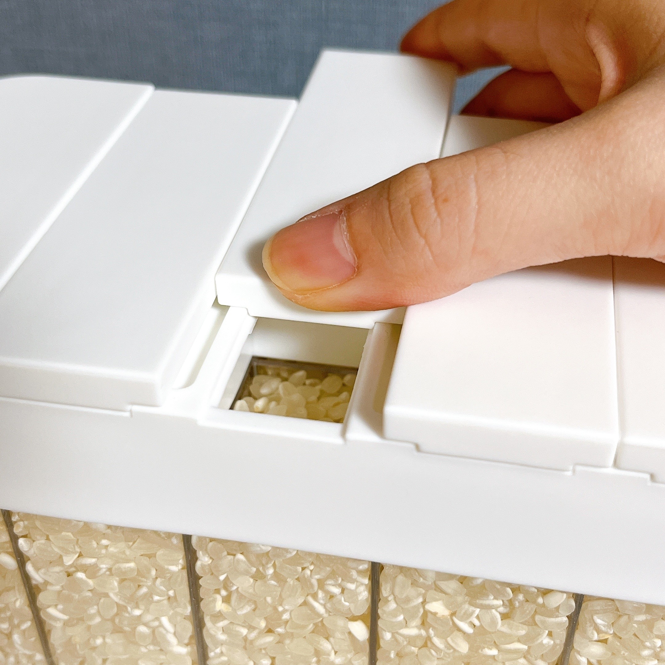 ロフトのオススメのグッズ「1合分別 冷蔵庫用米びつ tower（タワー）」