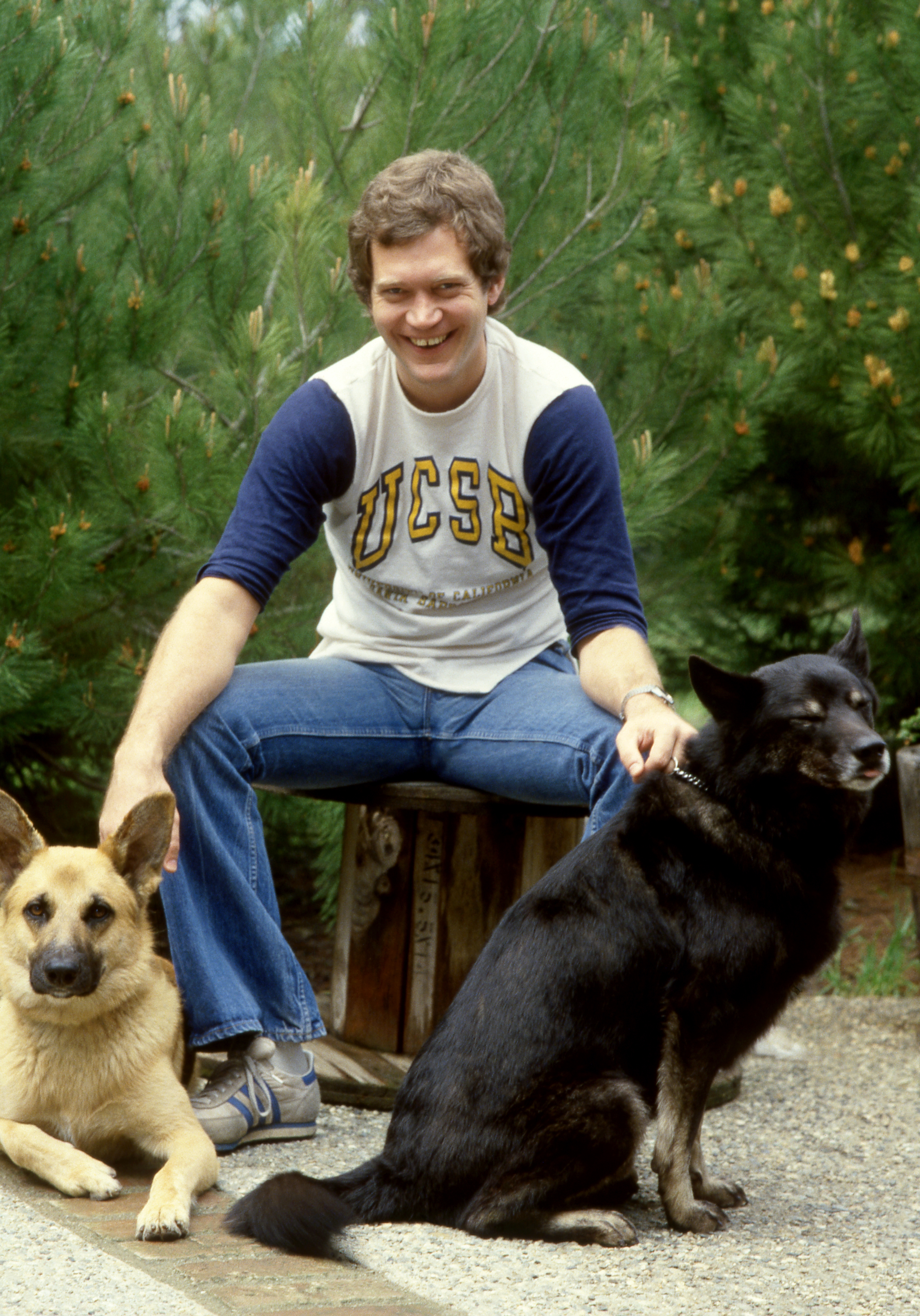 Dave sitting, smiling, and wearing a UCSB T-shirt and jeans in front of two large dogs