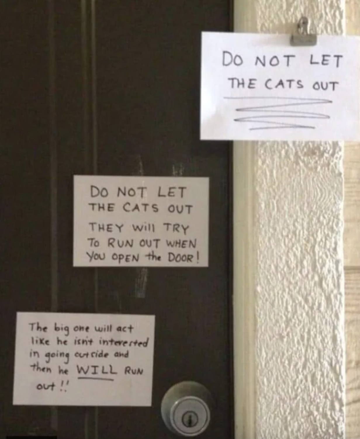 multiple notes left by a door that read don&#x27;t let the cat out