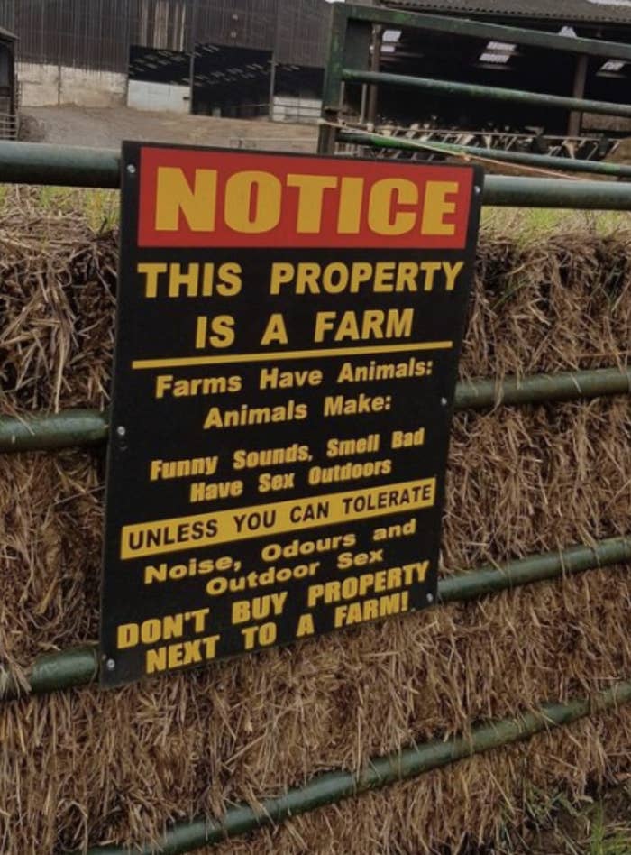 this property is a farm unless you can tolerate noise, odours, and outdoor sex, don&#x27;t buy property next to a farm
