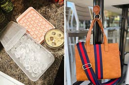 ice cube tray and bag magnet