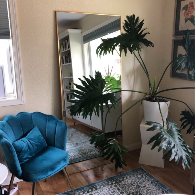Cozy room corner with a blue armchair, large mirror, and potted plants