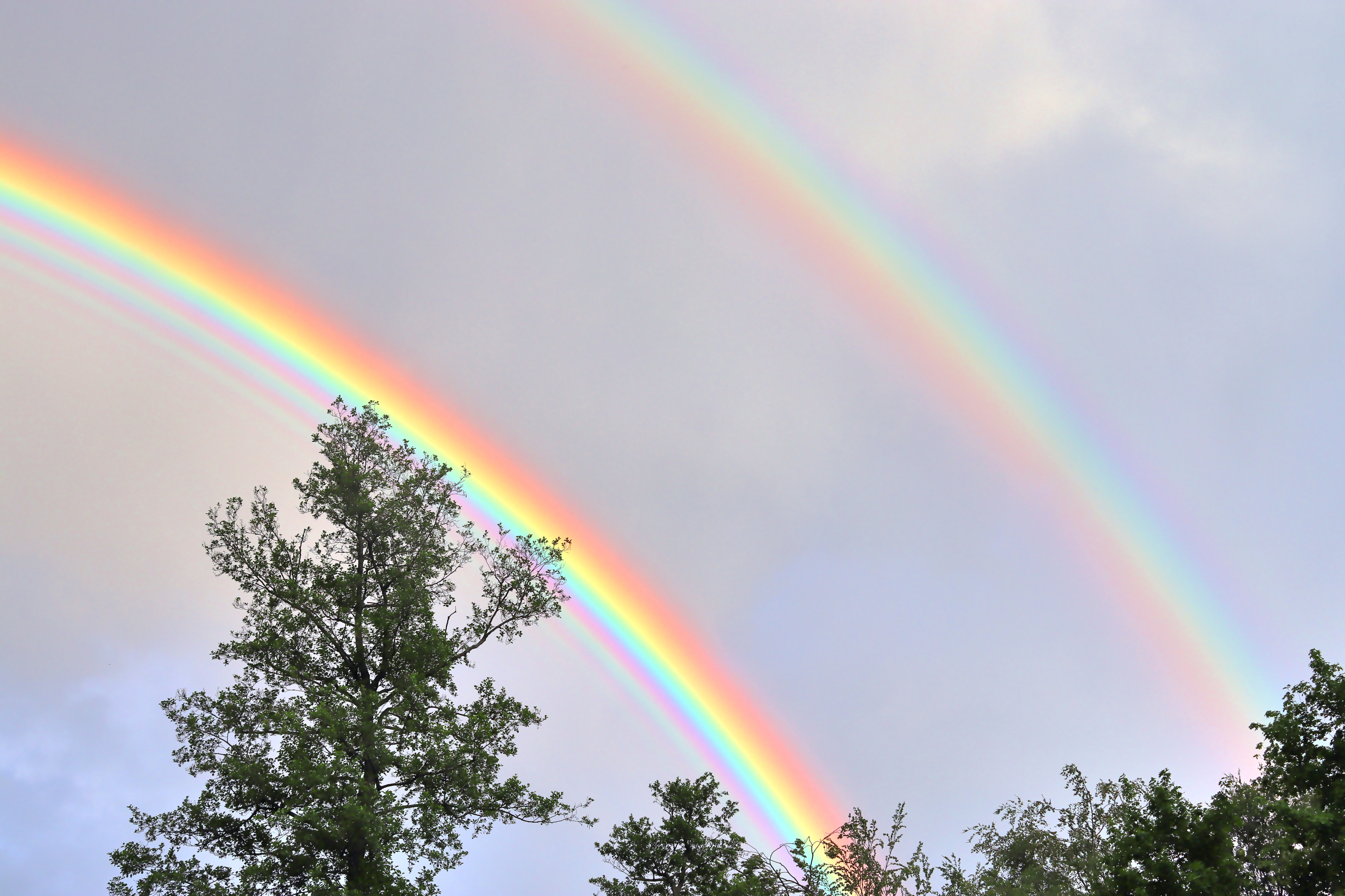 supernumerary rainbow
