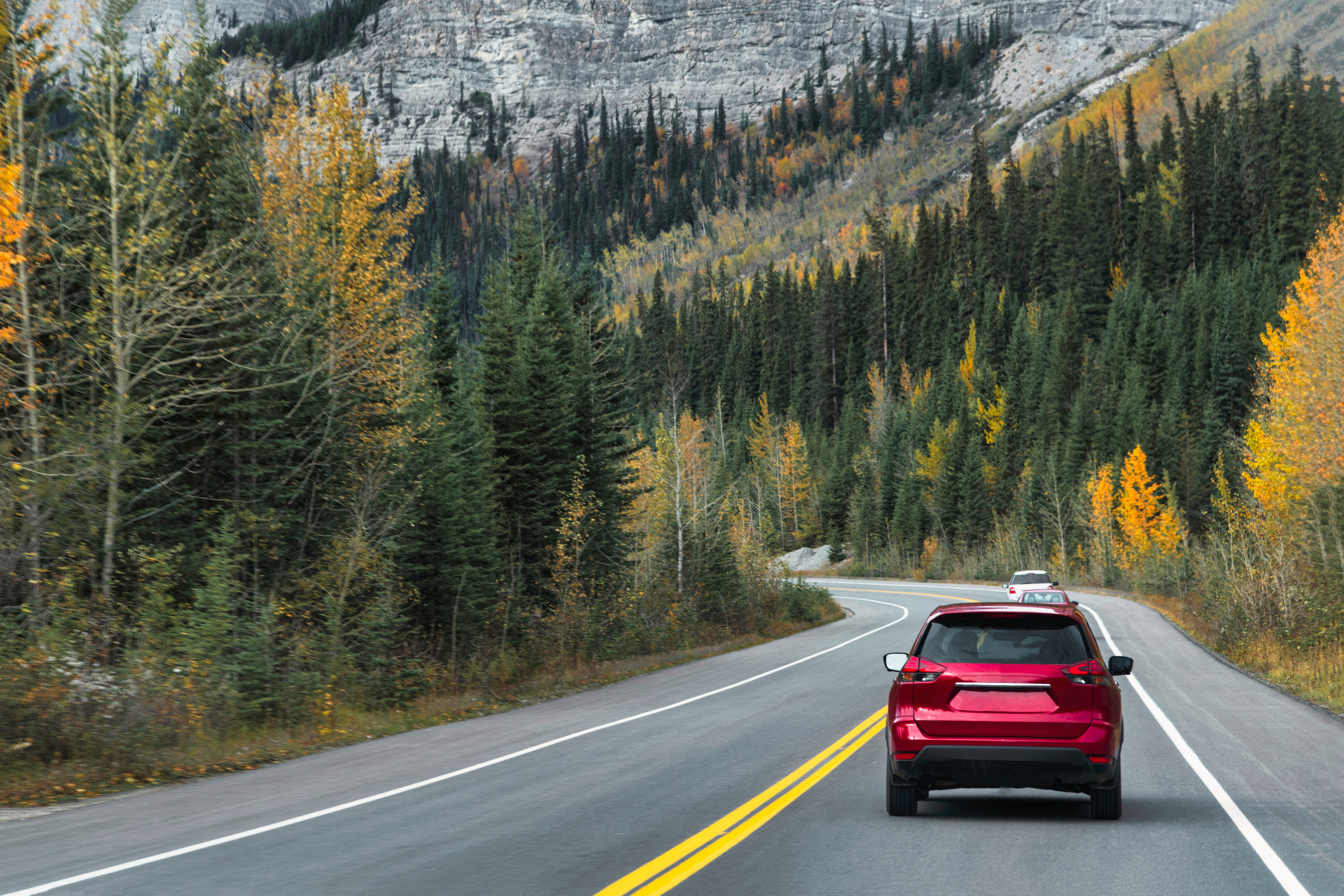 A car driving down a country road