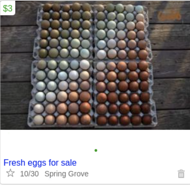 &quot;Fresh eggs for sale&quot;