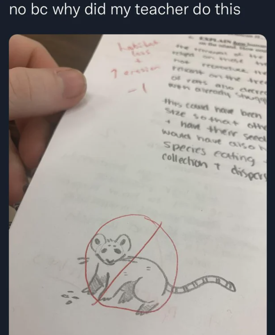 A teacher marked down a student's assignment because they drew a doodle on one of the pages