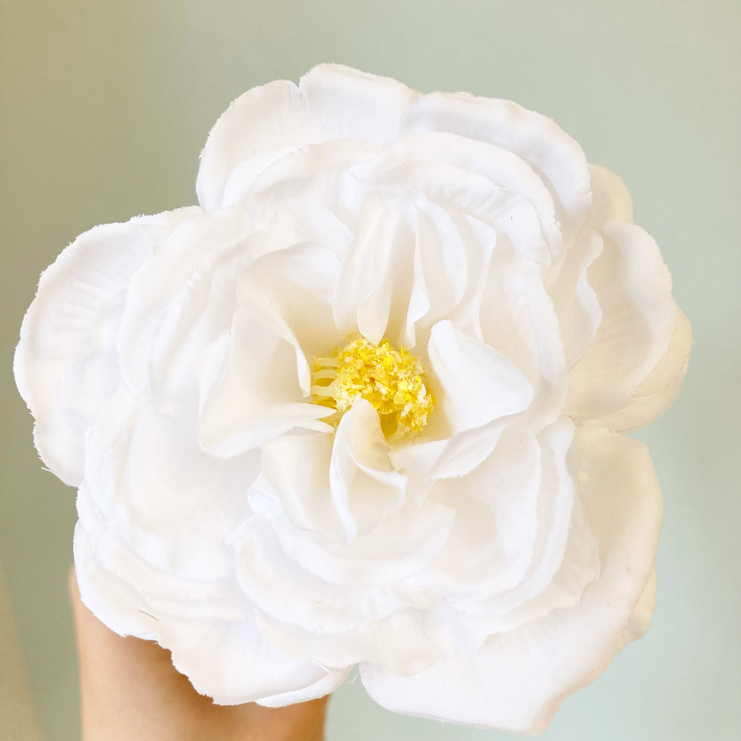 CanDo（キャンドゥ）の高見えインテリア「JFサヴォンフラワー スノーホワイト」「JFサヴォンフラワー コットンイエロー」