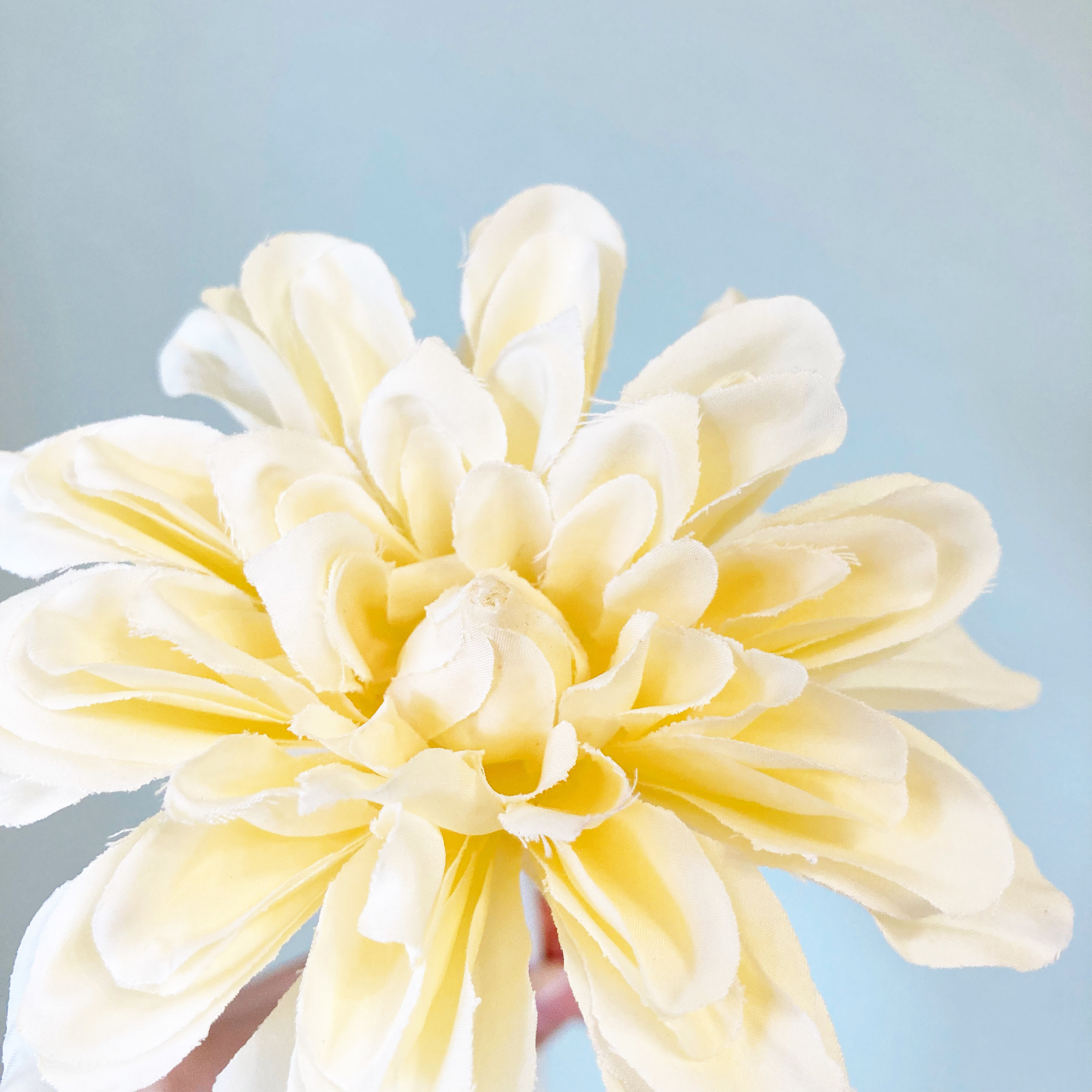 CanDo（キャンドゥ）の高見えインテリア「JFサヴォンフラワー スノーホワイト」「JFサヴォンフラワー コットンイエロー」