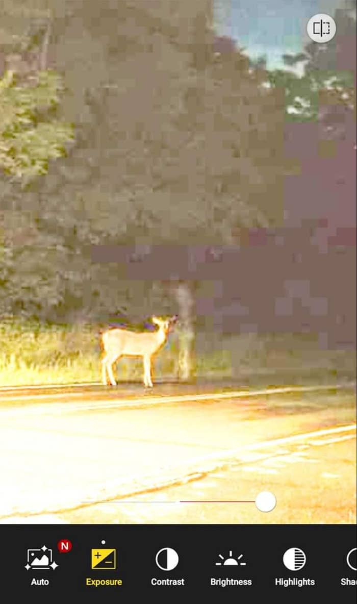 a ghost petting a deer