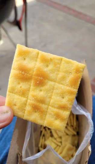 a giant Cheez-it