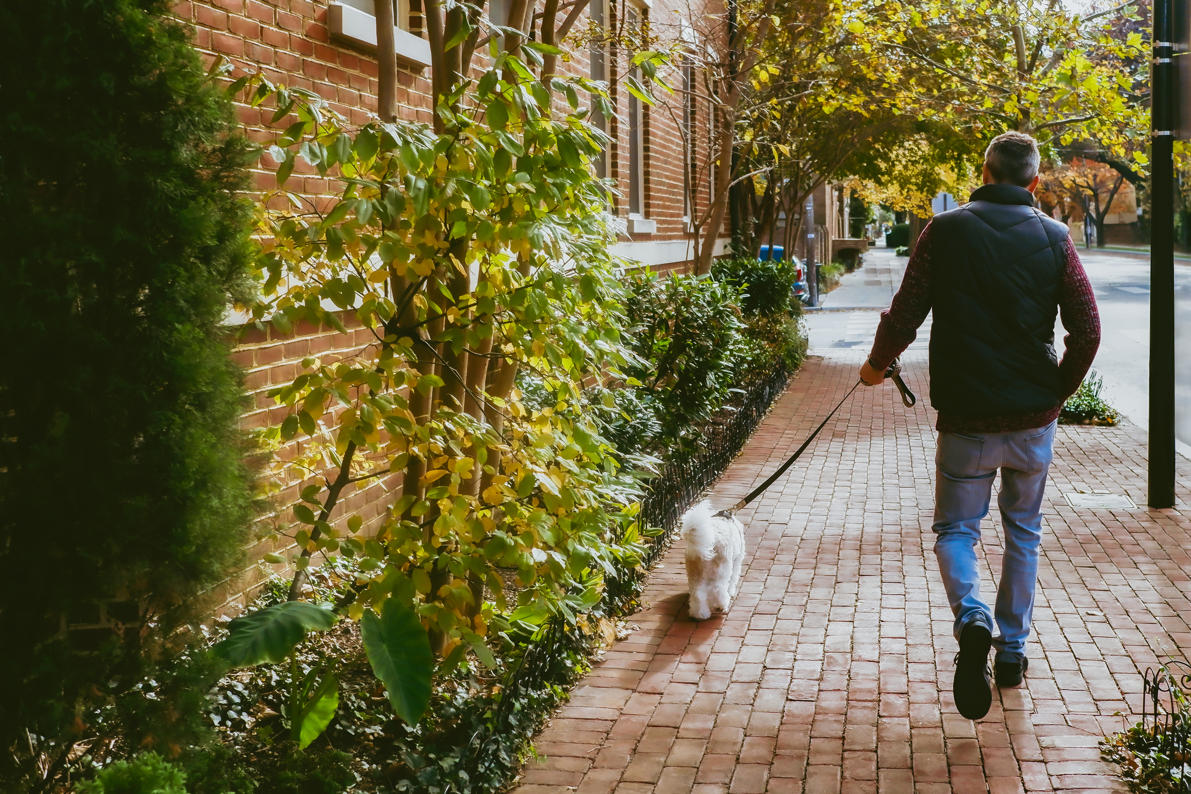 a man walking a dog outside
