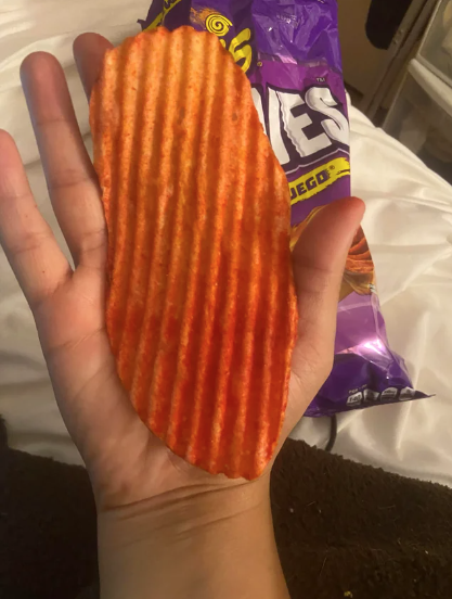 a hand holding a giant chip