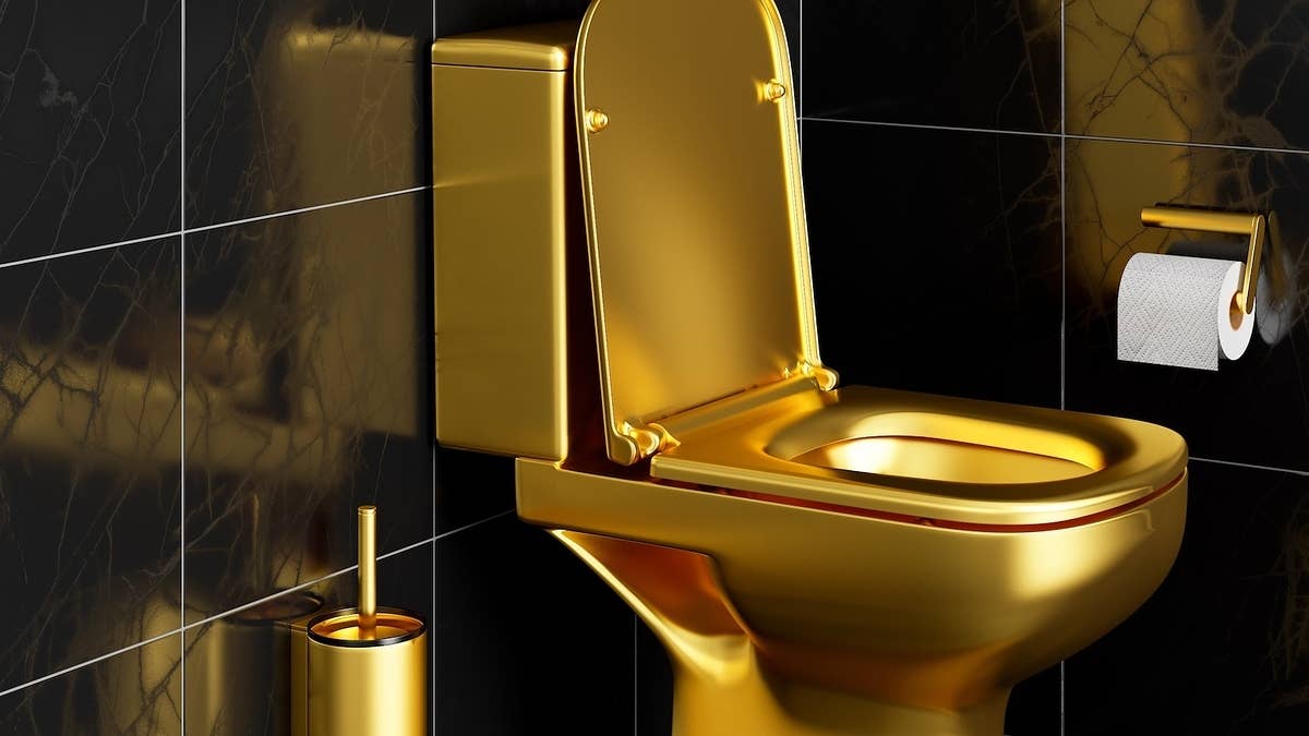 The toilet was stolen from Blenheim Palace, the birthplace of British leader Winston Churchill.