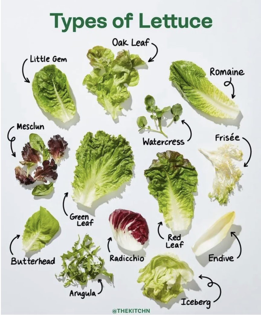 Lettuce chart