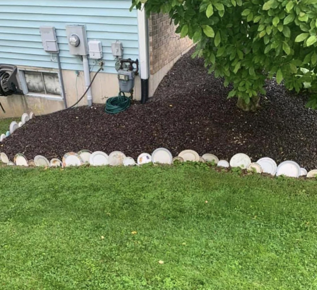 Someone&#x27;s mulch and grass line divided by plates