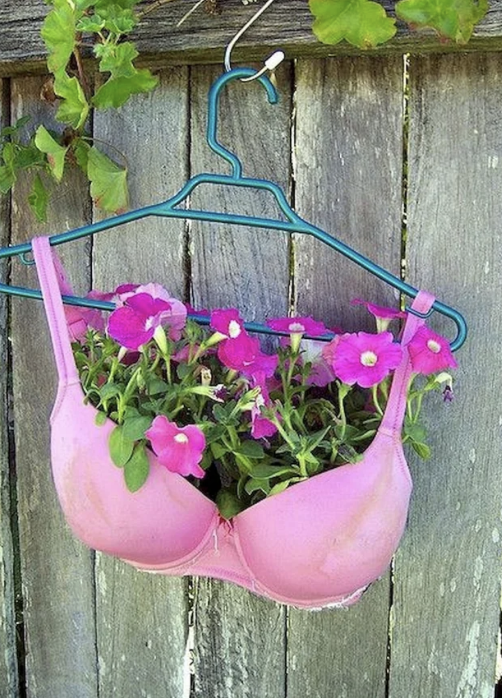 A bra filled with flowers hanging on a hanger