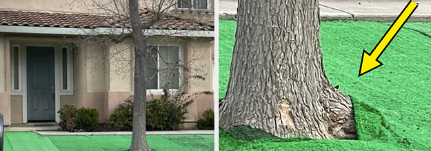 34 Home DIY Projects That Definitely Upset Some Neighbors